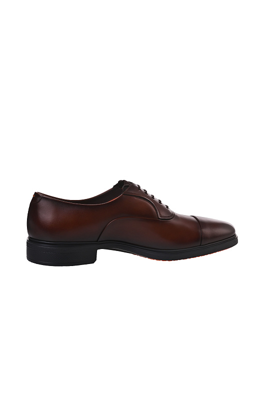 Классические оксфорды с мысом SANTONI Коричневый Мужской MGEG18957NEAXNTGT50