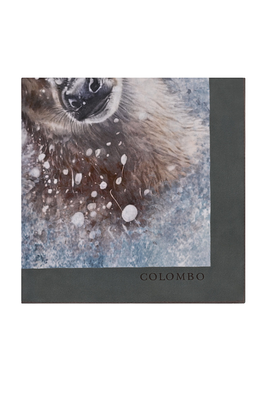 Кашемировый шарф COLOMBO Разноцветный Женский S7/140X140/5331/K Кашемировый шарф COLOMBO Разноцветный Женский S7/140X140/5331/K